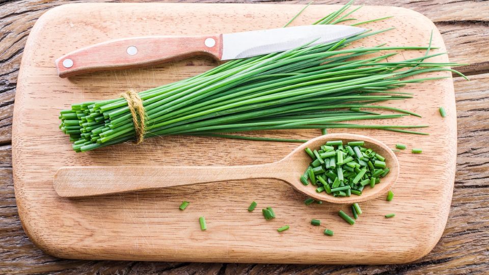 Сделайте это с урожаем зеленого лука: будете есть витамины круглый год