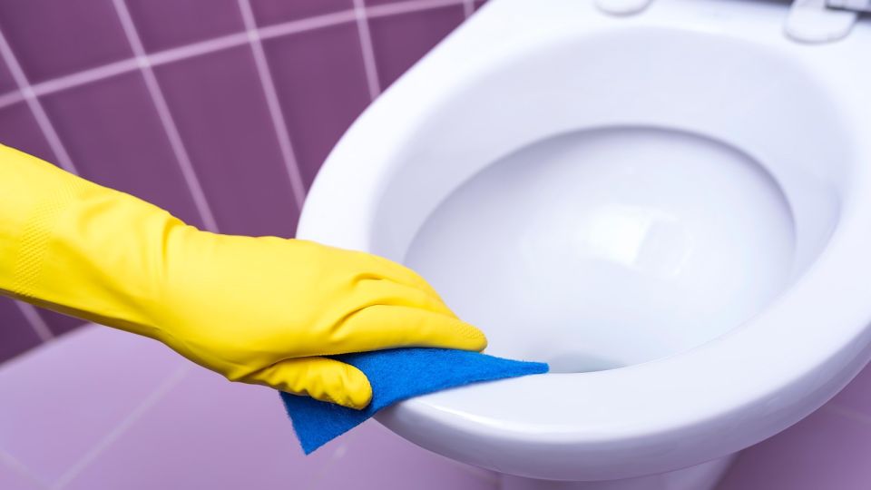 Унитаз этим популярным средством чистить нельзя: менять придется через полгода