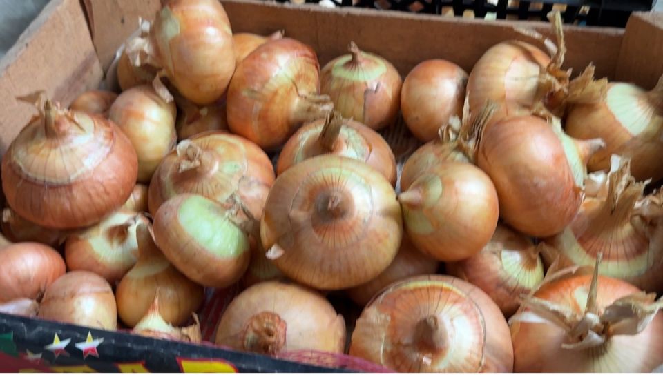 Как сохранить лук свежим до лета: простые советы от опытного агронома
