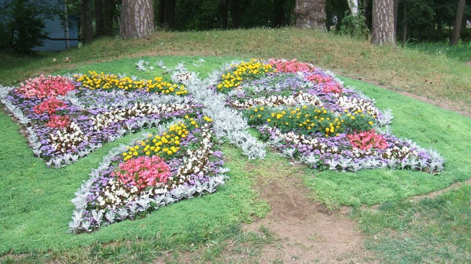 Как подготовить цветник к весне: февральские секреты для садоводов
