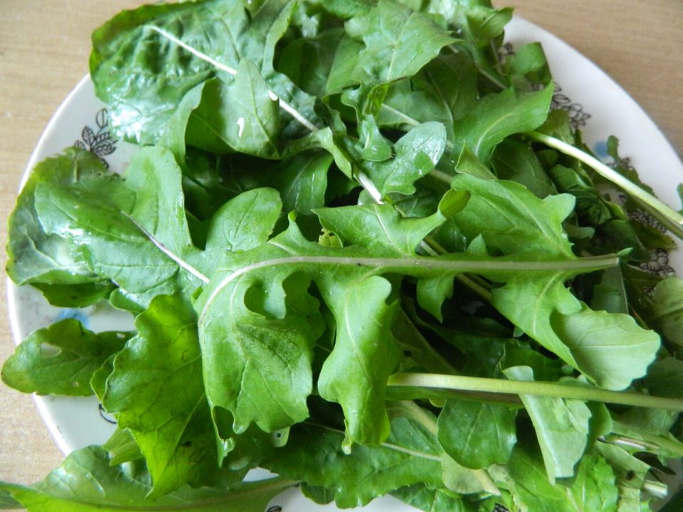 Как вырастить руколу: секреты ароматной зелени с ореховым вкусом