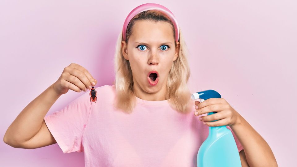 Тараканы убегут в два счета: это чудо-средство выведет насекомых