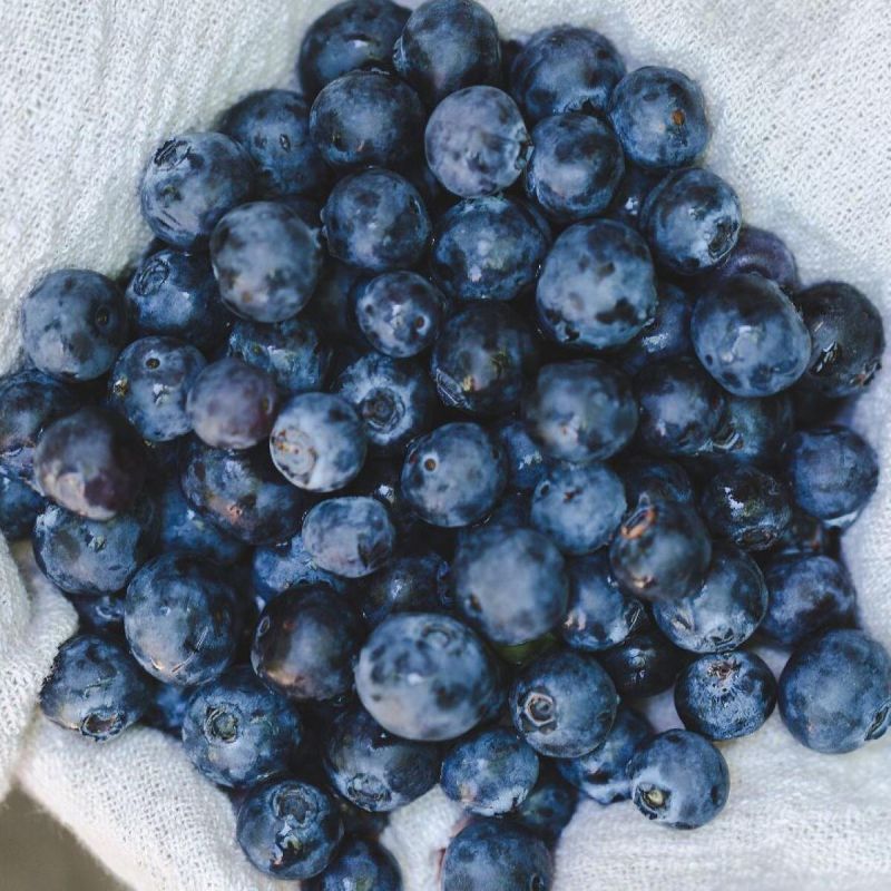 Как вырастить лесные ягоды на собственном участке: секреты успешного урожая