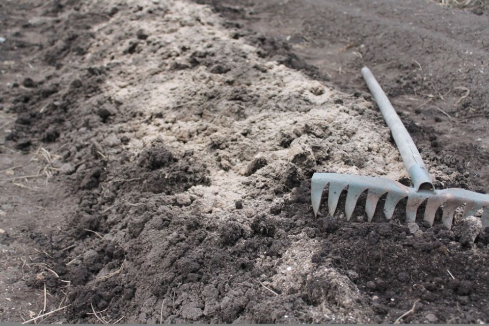 Ключ к здоровому урожаю: важность рыхления почвы на вашем огороде