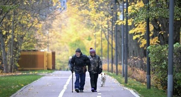 Где в России больше всего пенсионеров: неожиданные данные Социального фонда