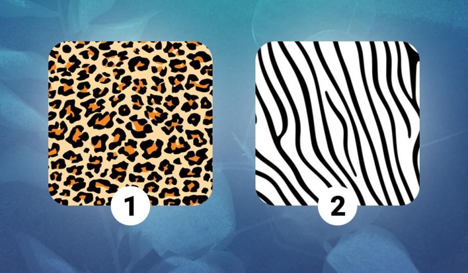 Разум или чувство? Пройдите тест, чтобы раскрыть свою истинную сущность