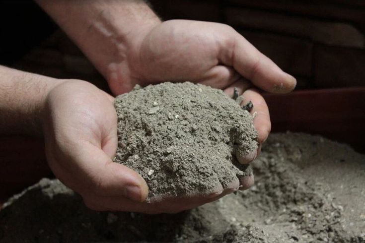 Ошибки в использовании золы для огурцов: как не погубить урожай