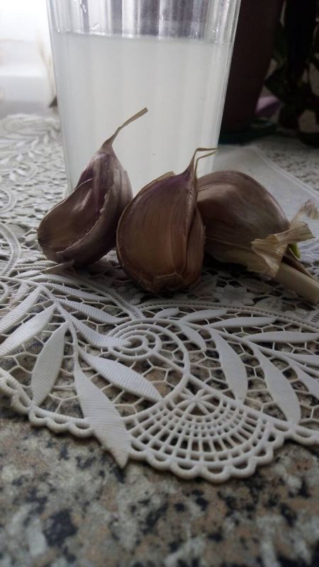 Чесночная вода для орхидей: миф или опасная реальность?