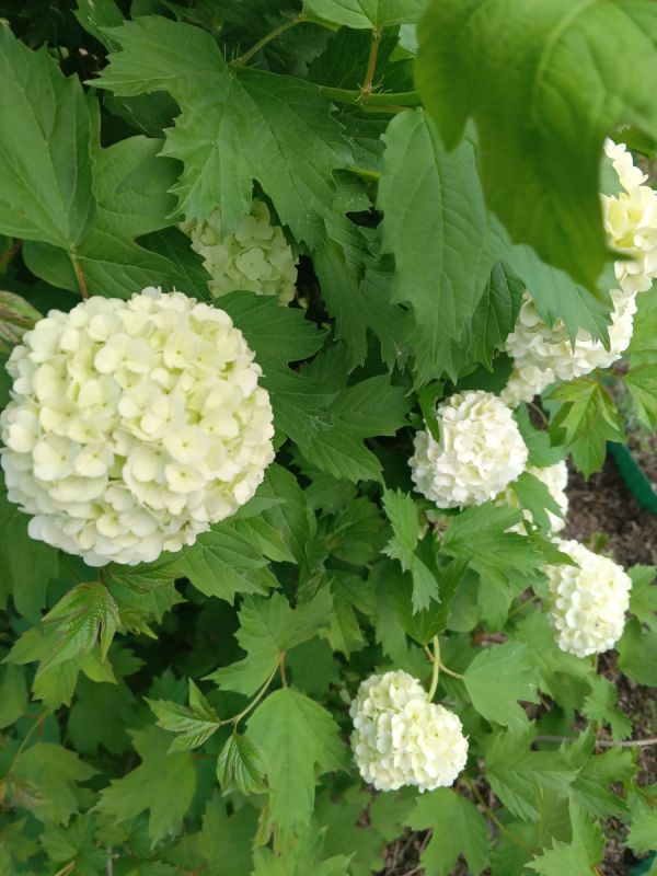 Как общаться с вспыльчивыми людьми: секреты мирного сосуществования