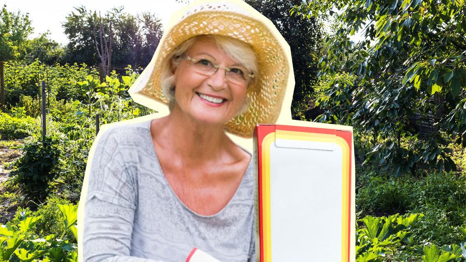 Так используют соду только опытные дачники: незаменимый «спаситель» для участка