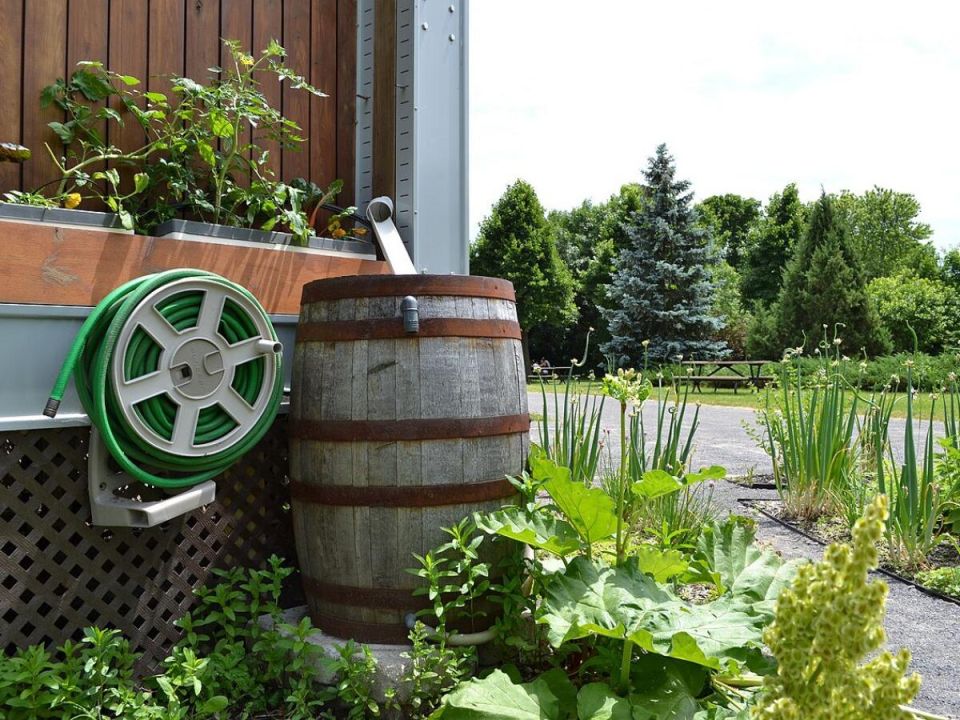 ����� ��� ������: ��� ������� � ������������ �������� ���� ��� �������� � ��������