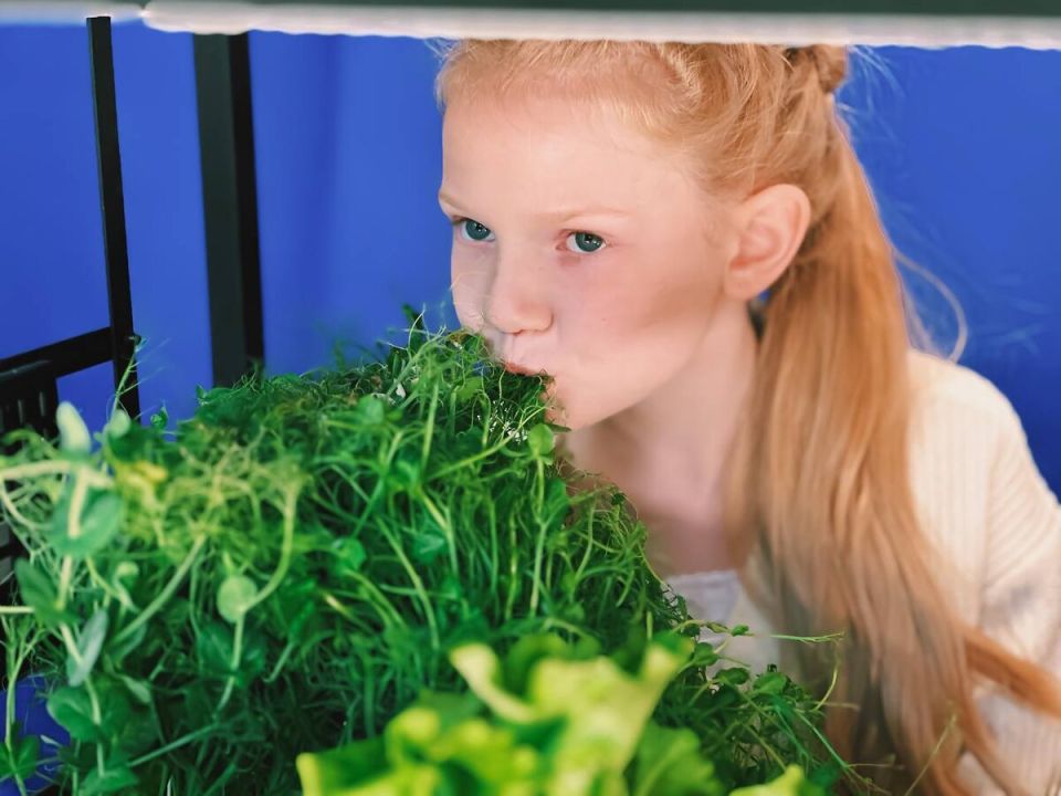 ��� ������ ����� �������� �������� ������ �������: ������������ ��������