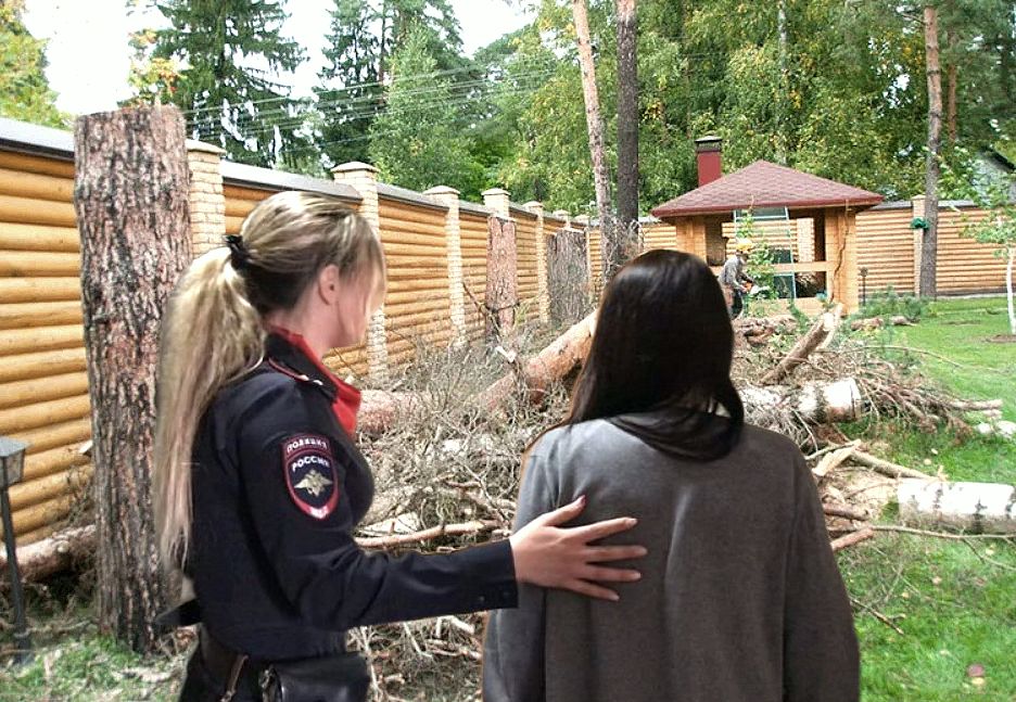 ����������: ����������� ���� �������� �� ������� �������� �� ����������� �������