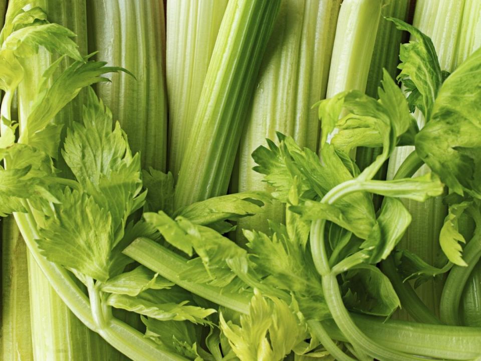 ��� ��������� ������� ���������: ��� �������� ������ � �� �������