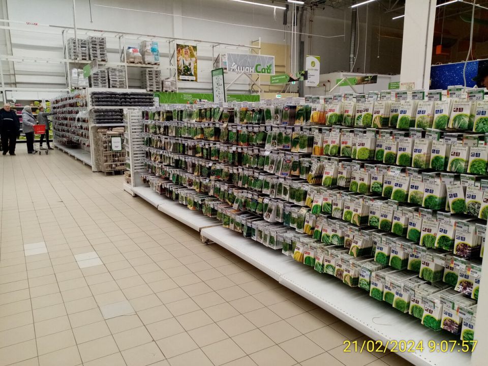 ��������� ��������� ��� ���������: ����, ��� � �������� � ��� �������?