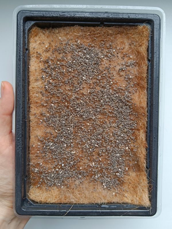 ����������� ���: ��� ���������� ������� ������ � ������� ���������