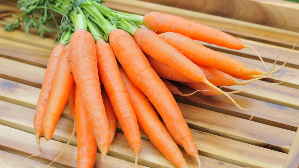 ����� ������� ��������� �� 5 �����: ��� ���� ����� �� ��������