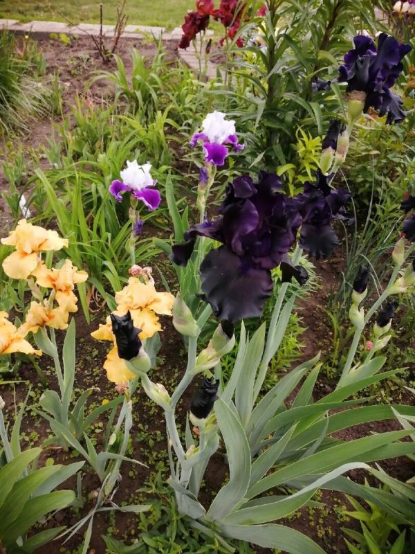 ������� ������ ������: ��� �� ����� ���� �������� ������� ���������