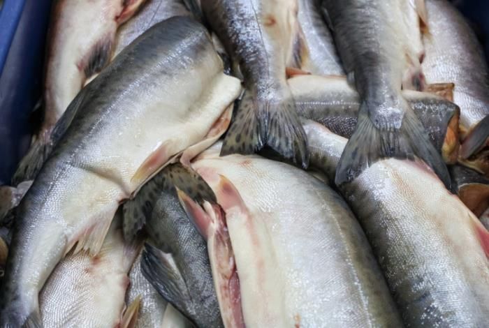 �������: ����� ������ � �������� ���� ������� ���� ��� ������ ��������