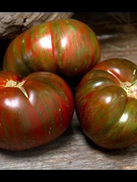 ����� ������� ��������� �����: ����� ����� � ������������ ������