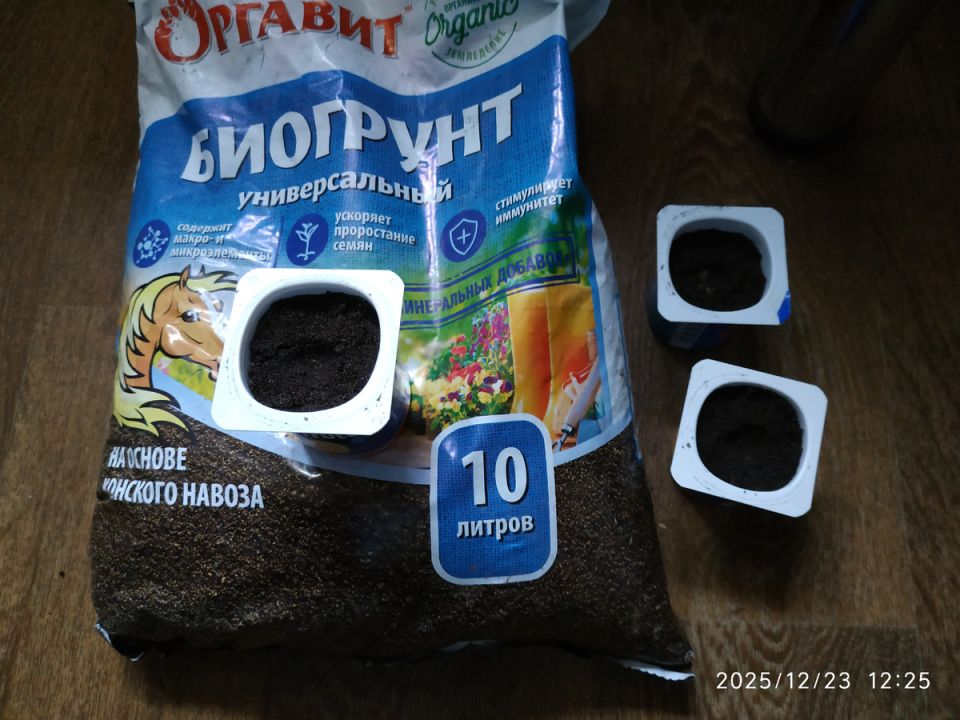 ��� ������� ������ ������: ������� ��������� ������������