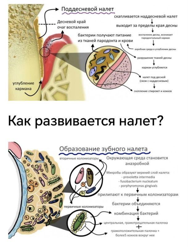 ������ ���� �� ����� ���������� � ������ ��������������?