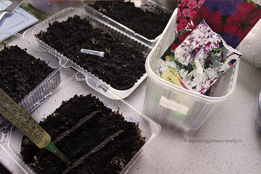 ������� �������� ������� �������: ������������� ������, ����������� ��������