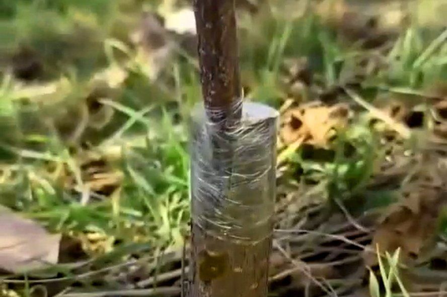 ��� ��������� ���������� �������� ��������: ������ � �������