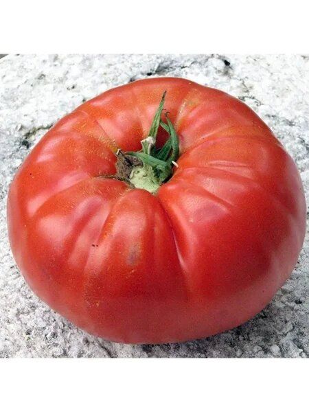 ����� �����: �������� ������� ��� ������ �������