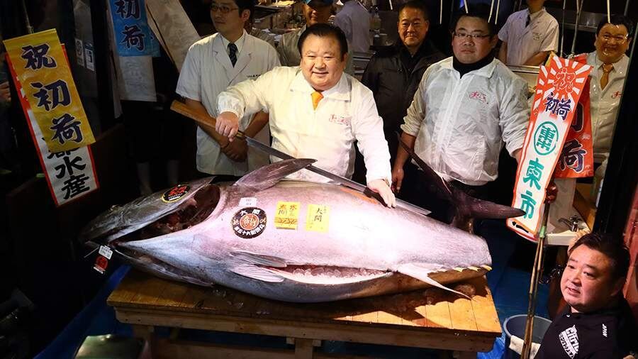 �������� ������ ������� �����: ��������� ����� �� 3,2 �������� ��������