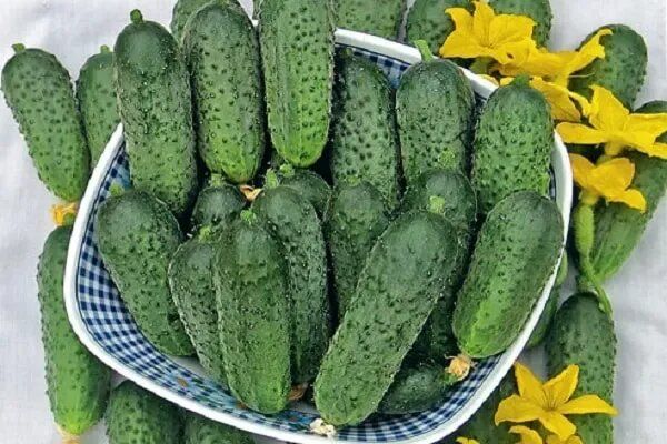 ������ ���������: ������� ��������� �����������