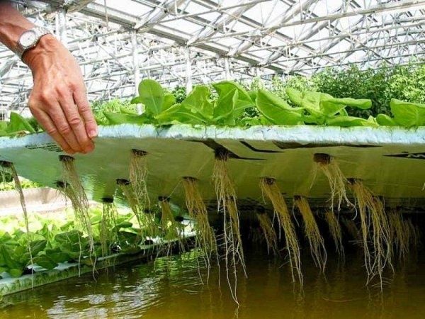 ������ �� ����� � �������? ��� ��� ����� ������������ ������ ���