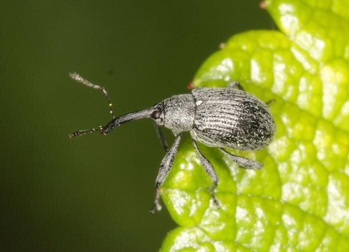 ��� ��������� ��������: ������ � ������������ � 2026 ����