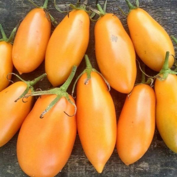 ����� �����: ��������� ���������� ��� ���������� ����