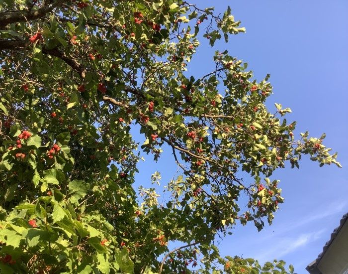 ���������� �������� �������� � ����������� � ����