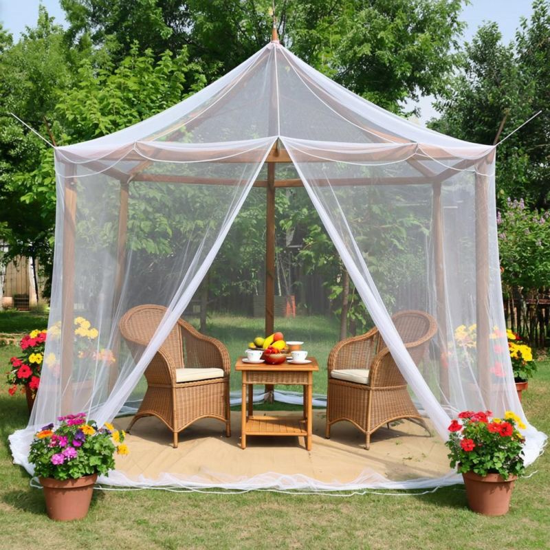 ������ ��������� �����: ����������� ����� ��� ������ �������