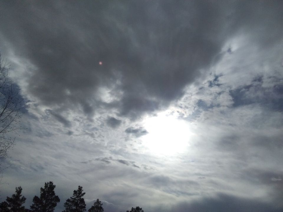 ��� ������� ������� �� ��������: ������� ������