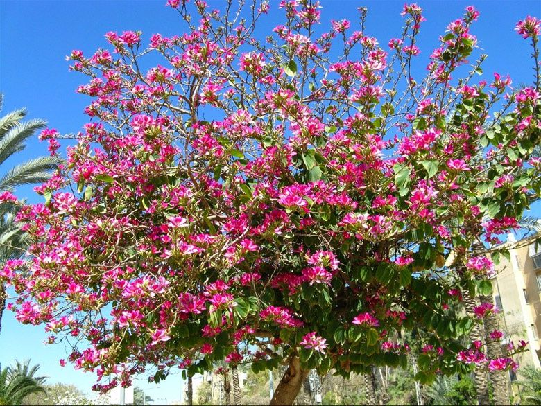 ��������: �������� ���������� �� ����� �����������