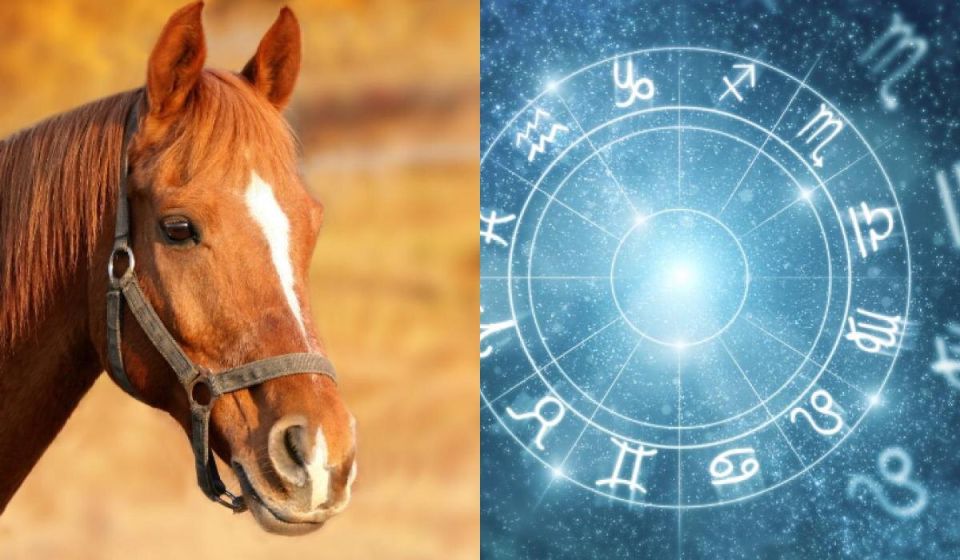 ����� �� ������ �� ����� �������: �� ��������� �� ������������