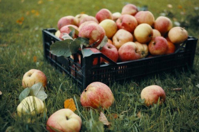 �������� � ����: �������� ������ �� ��������� �� 15 �����