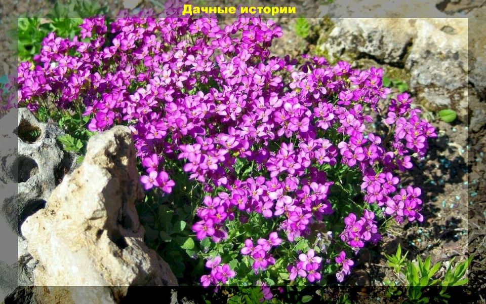 ������������ �������� ��� ��������� ��������: ������� �������, ������� ��������� ������