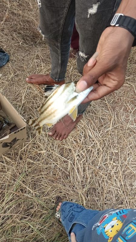 ��� � ������ ����� ������ � �������� � ��������� ������ �� ������� �����