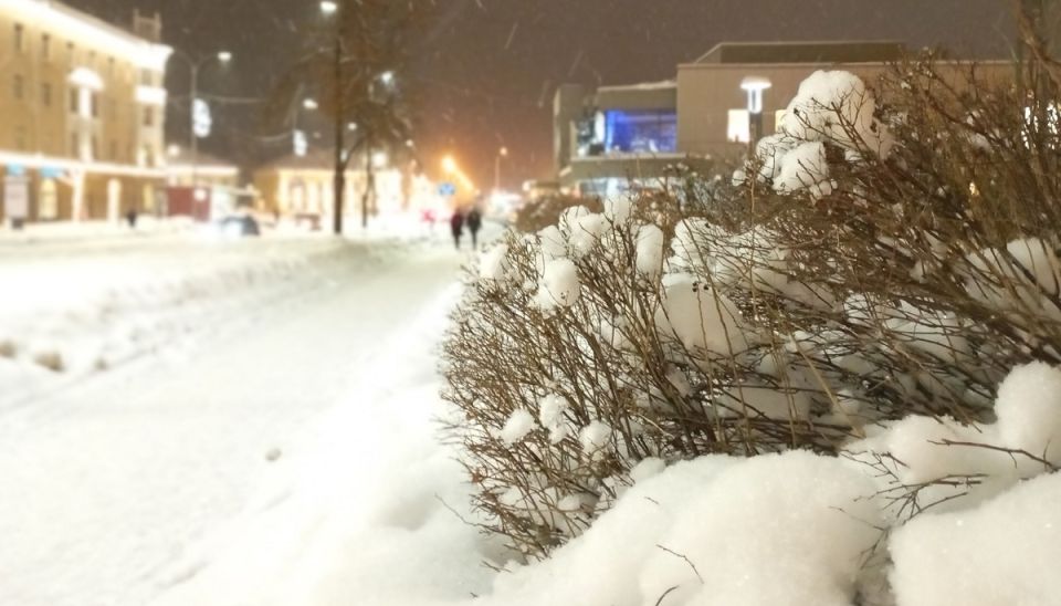 ���������� ���������� ���������� ������� ������������ ���������� � ������� ����� ������