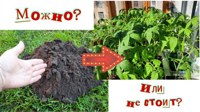 ������ �������� ����� �������� ��� ������ ���� � �������� ��������