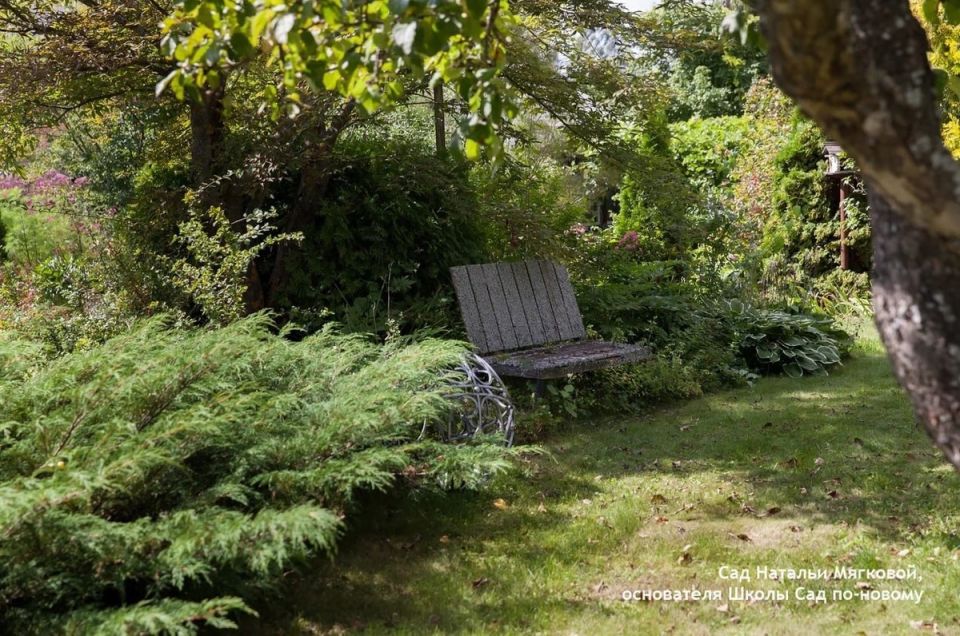 Как устроить сад без стресса и уйти от ежедневного ухода за кустами