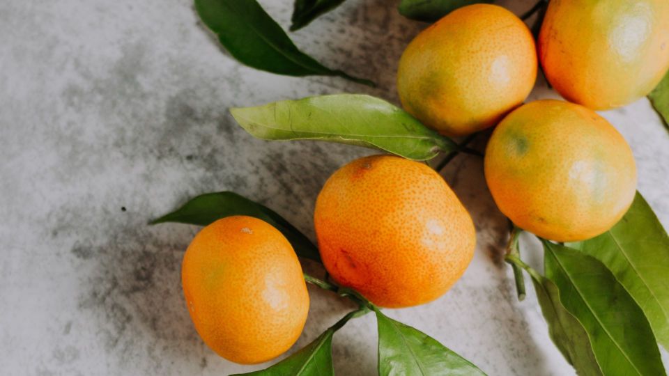 ������ ��������� �� 10 ����� ������ ����� ����: ������� ������ ���� �������