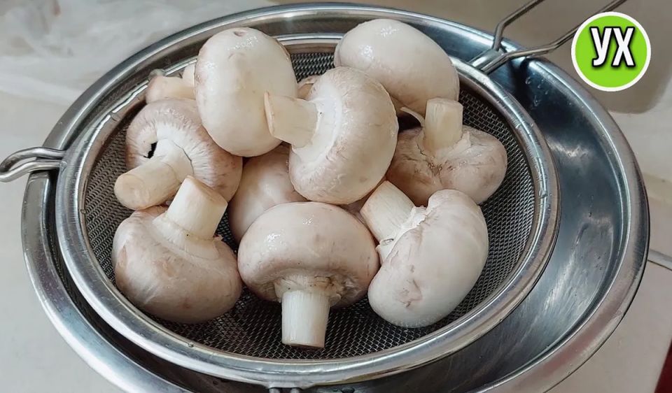 Грибной фурор: паштет, «трюфеля» и густая подлива из шампиньонов