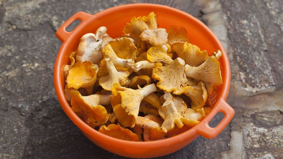 ��������� ���� ������� � ������ ���� �����: �������� ������� ���������