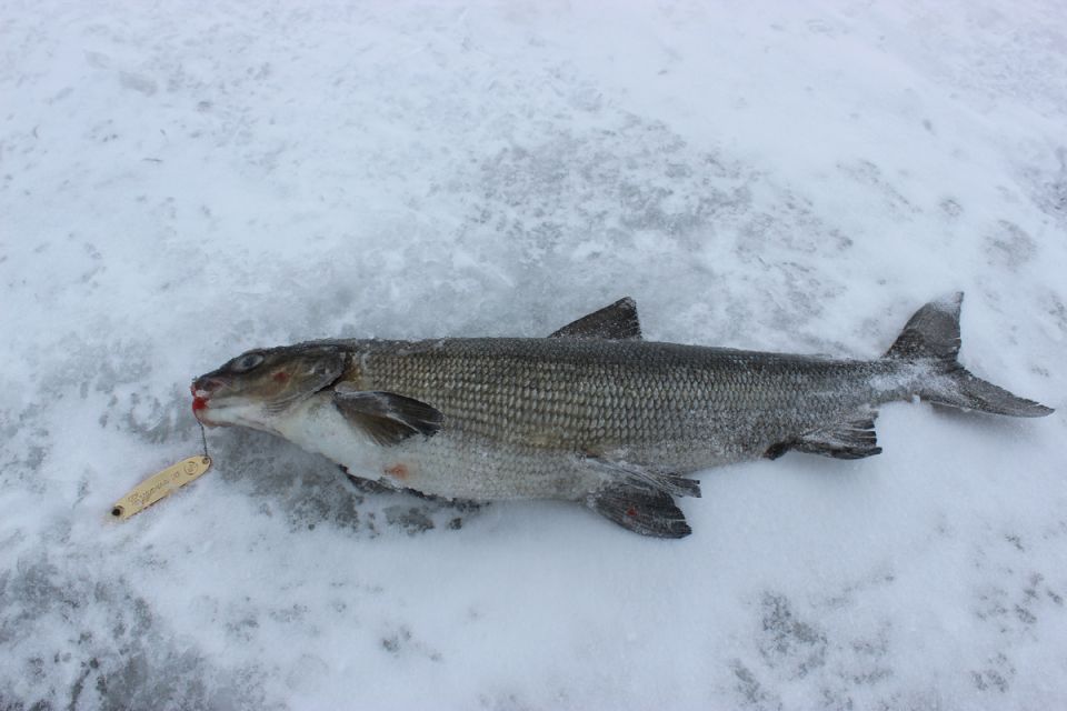 ��� ��������� ������������ ����, ����� ��������� ���� � ��������