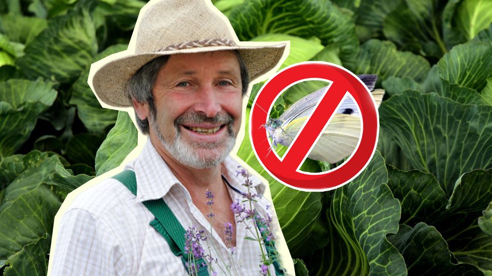 ���� ������ ��������� �������-��������� ��������� ���� �������, ���� ������� ���������